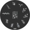 Wholesale stamping image plate