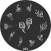 Wholesale stamping image plate