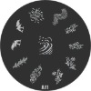 Wholesale stamping image plate