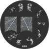 Wholesale stamping image plate