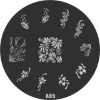 Wholesale stamping image plate