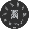 Wholesale stamping image plate