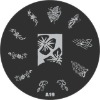 Wholesale stamping image plate