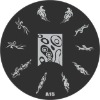 Wholesale stamping image plate