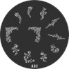 Wholesale stamping image plate