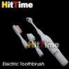 Wholesale Electric Massage Massager Toothbrush + 3 Brush Heads Wholesale Only