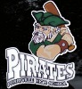 Wholesale vinyl automotive decals