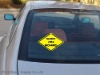 Wholesale Window Sticker (CSS-PS57)