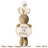 Wholesale Baby On Board Sign (CSS-PS61)