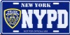 License Plate, car license plate, auto license plate