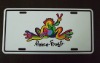 Wholesale American license plate