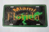 American license plate