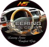 Wholesale many different fashion styles good quality auto steering weel cover