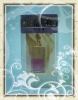 Wholesale Hanging car perfume