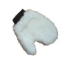 Wash and polish mitt