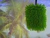Wholesale chenille sponge
