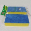 car cleaning sponge