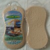 vacuum car sponge
