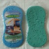 car washing sponge