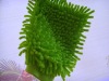 Wholesale chenille glove