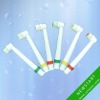 Wholesale cup-type toothbrush head