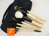 Wholesale 6pcs Fashionable Makeup Brush Set