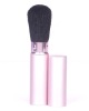Wholesale fashional retractable powder brush