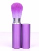Wholesale purple fashional retractable powder brush with crystal
