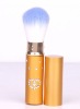 Wholesale high quality fashional retractable powder brush