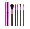 Wholesale 5pcs cosmetic brush/ makeup brush