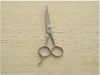 Wholesale fashionable hair scissor