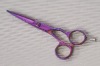 hair scissors A-55P