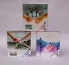 Wholesale fashion photo album