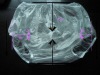 Wholesale PVC adult pants