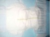 Wholesale adult disposable diaper made in China