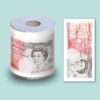novelty toilet paper ( color tissue paper,color toilet roll,season toilet paper)