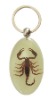 Wholesale New hot tattoo promotion gift--Real insect amber products