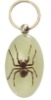 Wholesale New hot tattoo product--Real spider keychain