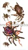 Wholesale Fashion Tattoo Sticker