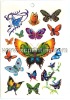 Wholesale Beautiful Butterfly Tattoo Sticker