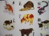 Wholesale animal tattoo sticker, water transfer decal