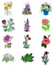 tattoo stickers
