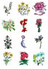 Wholesale temporary tattoo sticker