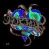 Tattoo sticker, Temporary tattoo, body tattoo,body art