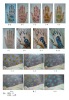 Wholesale tattoo sticker