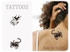 Wholesale Non Toxic Water Tansfer Tattoo Sticker (WF-6024)