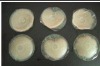 Wholesale Breast Paste(Gold powder)
