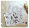 Wholesale Temporary Tattoo (WF-6112)