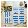 Wholesale "World Cup" Body Tattoo Sticker (WF-6094)
