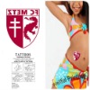 Wholesale Transfer Temporary Tattoo Sticker (WF-6003)